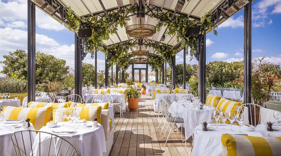 Terrace of Perruche rooftop restaurant in Paris with panoramic city view