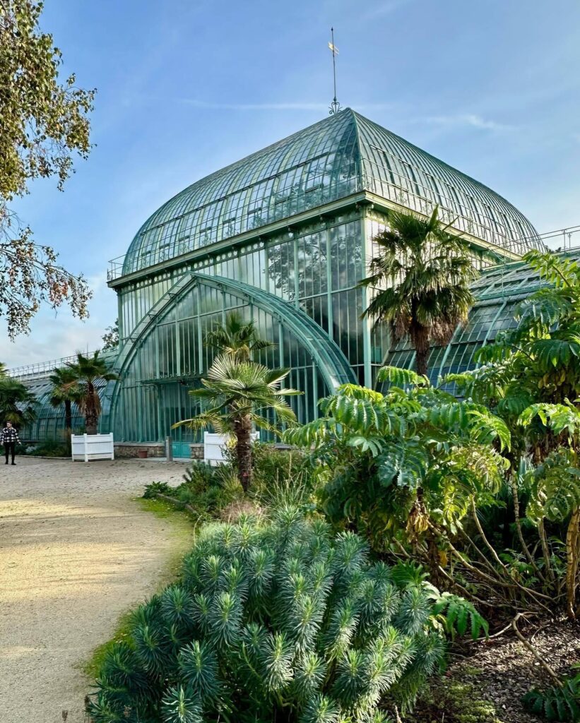 Serres d’Auteuil greenhouse Paris photoshoot location with lush tropical plants