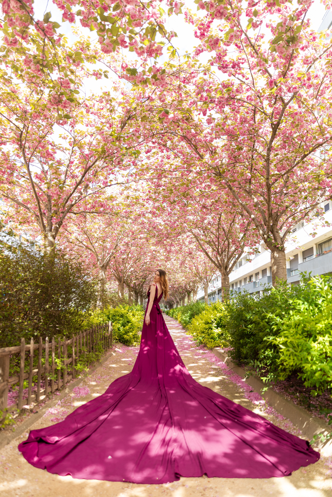 Spring photoshoot in Paris under cherry blossoms, woman in a long purple dress on a flowered path